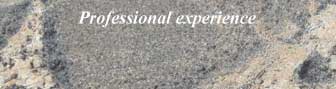 Professional experience